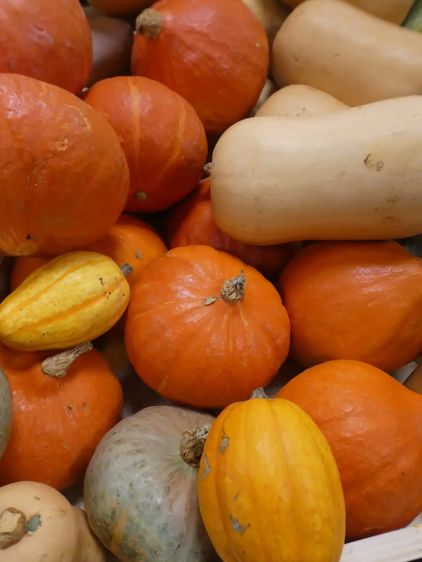 Photo Biocoop Libération